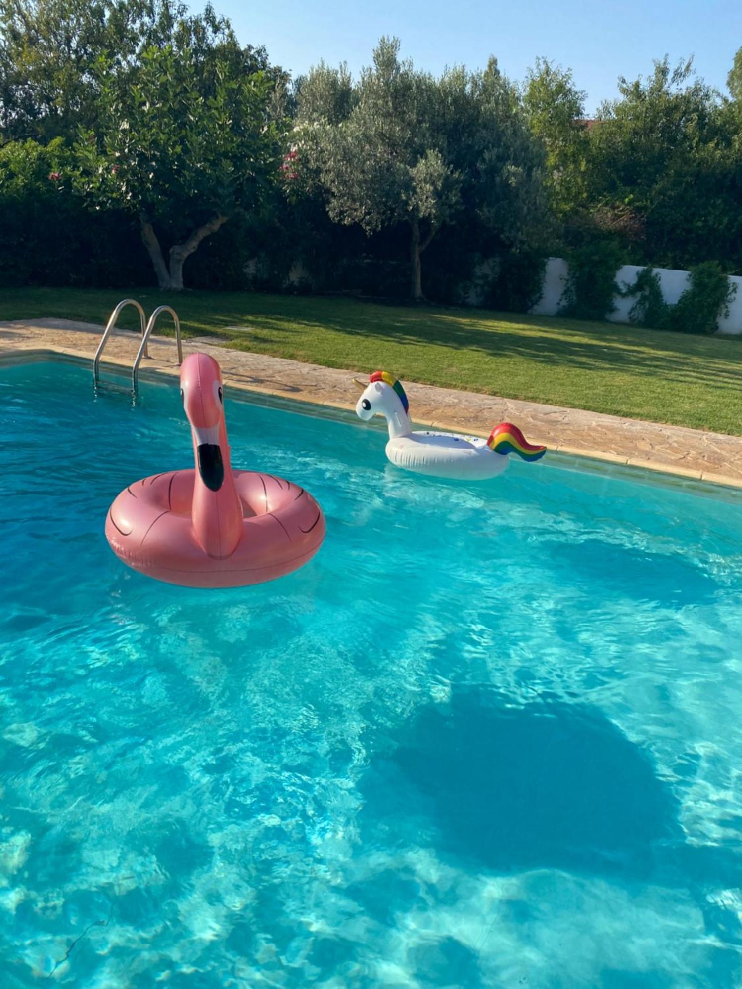 Agios Georgios  Relaxing Villa With Swimming Pool And Garden מראה חיצוני תמונה