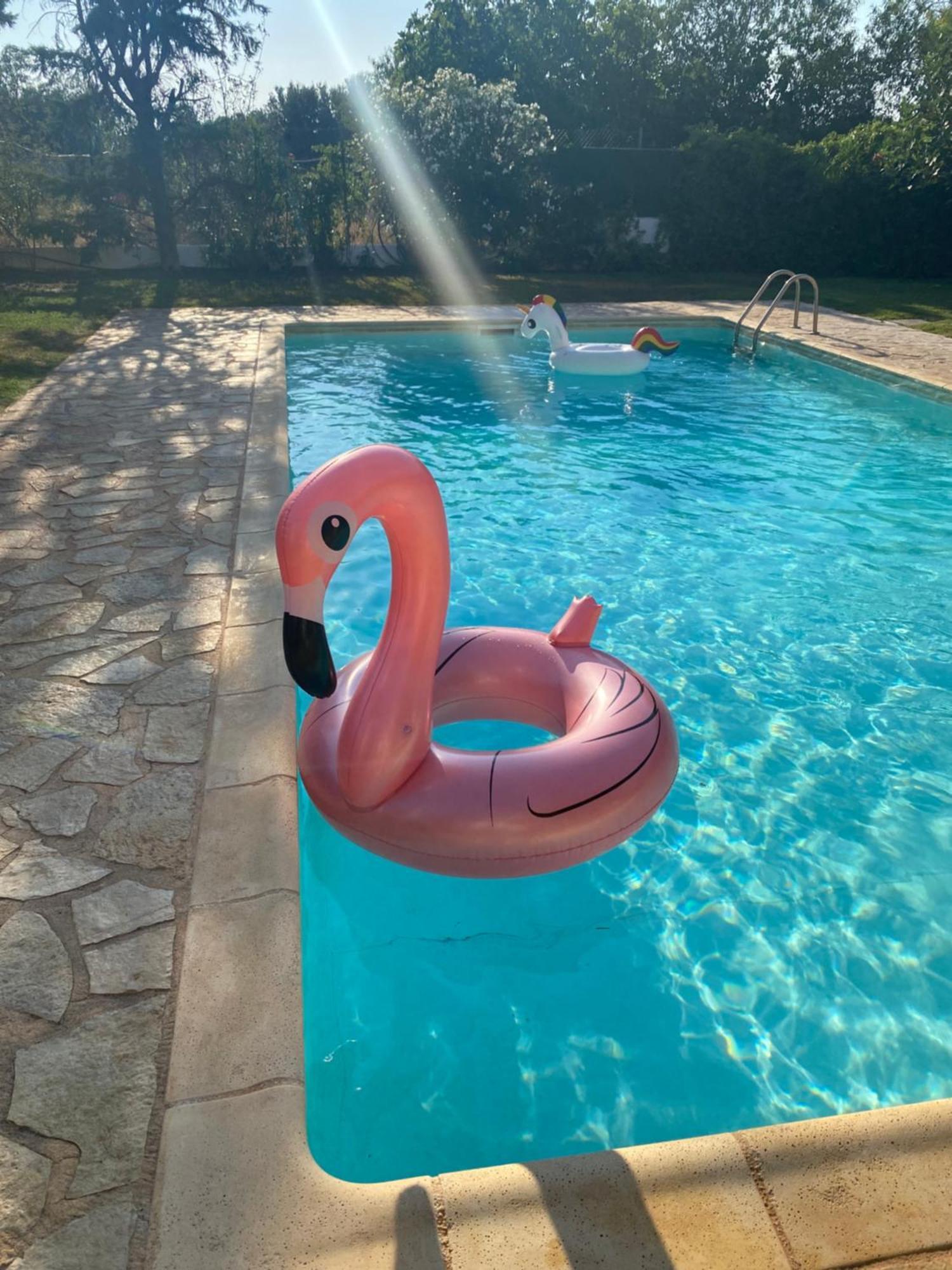 Agios Georgios  Relaxing Villa With Swimming Pool And Garden מראה חיצוני תמונה