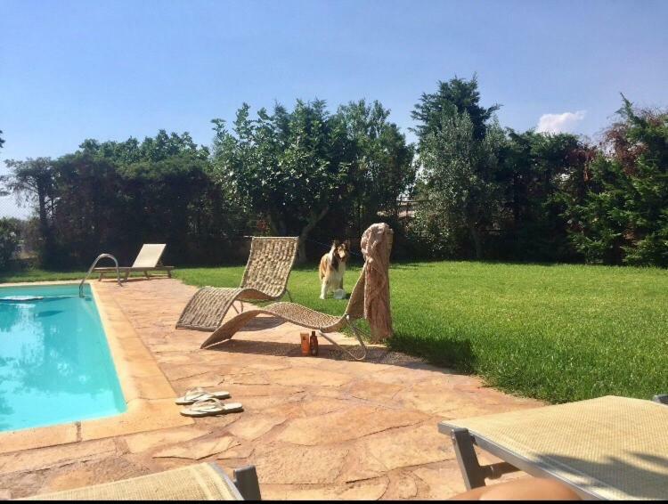 Agios Georgios  Relaxing Villa With Swimming Pool And Garden מראה חיצוני תמונה