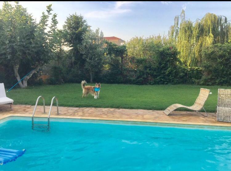 Agios Georgios  Relaxing Villa With Swimming Pool And Garden מראה חיצוני תמונה